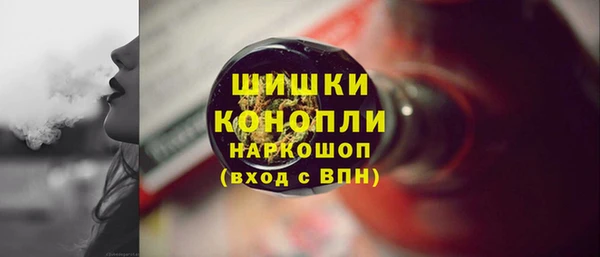 стаф Ростов