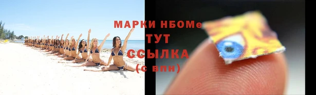 стаф Ростов