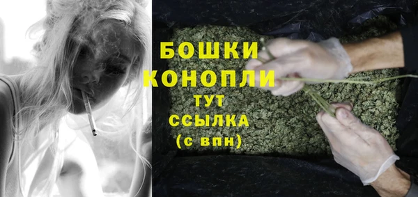 стаф Ростов