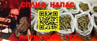 СК Дубна