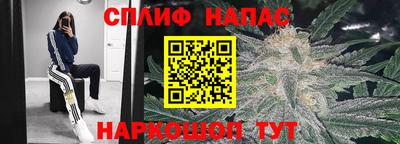 СК Дубна