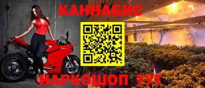 индика Заводоуковск